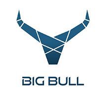 Big Bull עיצוב לוגו