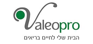 ValeoPro - Logo